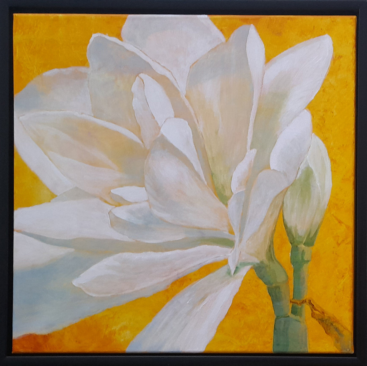 You may be the light - My Store