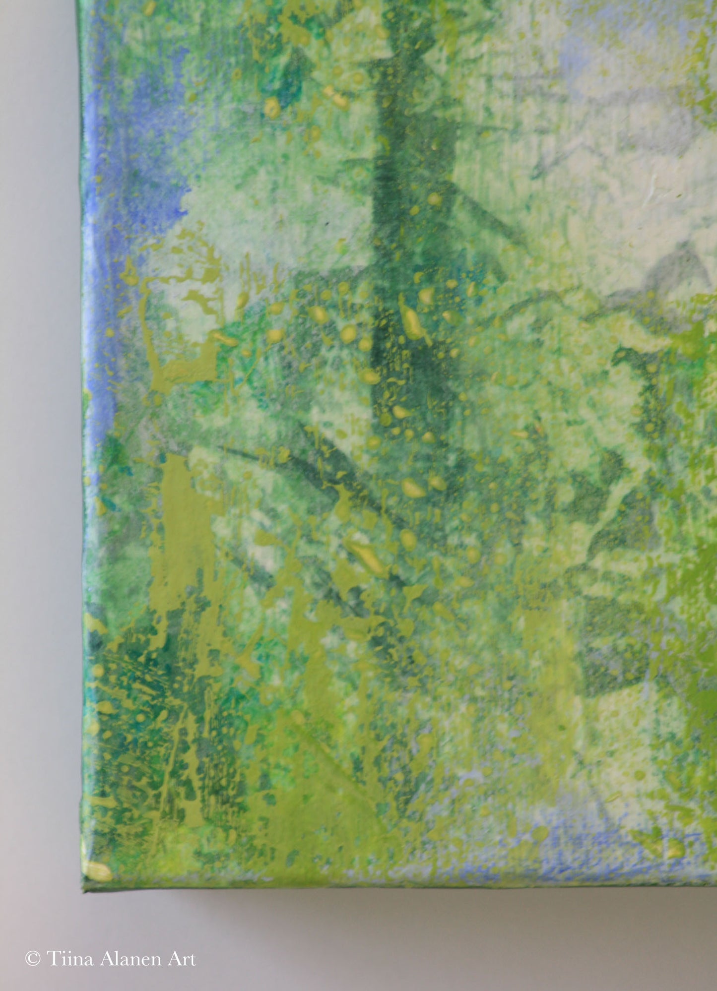 In the Arms of the Forest